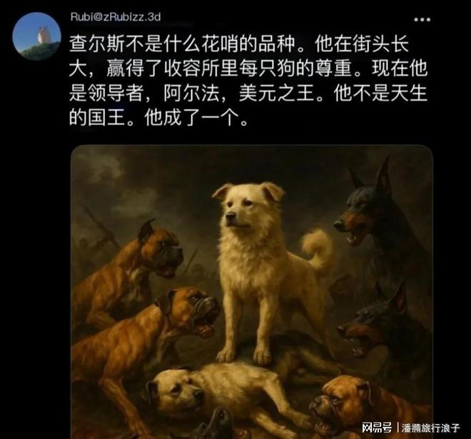 ”爆火！身价飙升至10万美元狗主人被扒冰球突破爆百万大奖贵州下司犬“查理国王(图6)