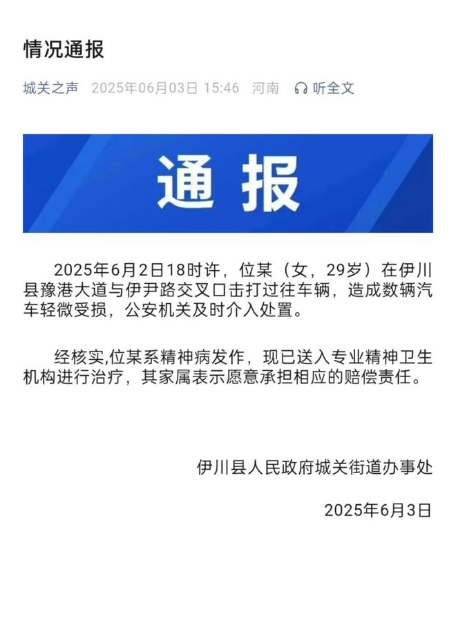 辆轿车通报：系精神病发作家属愿意承担赔偿冰球突破豪华版手机版女子持械当街打砸多(图3)