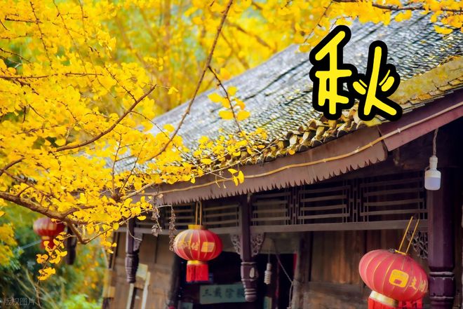 更适合秋天吃的菜合理“贴秋膘”不能乱补冰球突破豪华版手机版进入秋季推荐5道(图3)